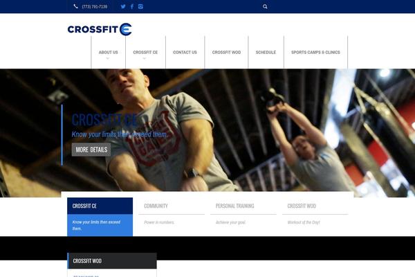 Fit Wp theme site design template sample