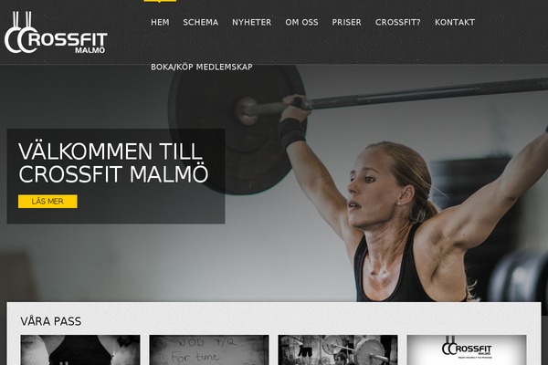 Wp_olympic5-v1.0.1 theme site design template sample