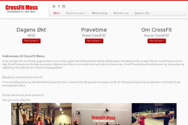 Customizr theme site design template sample