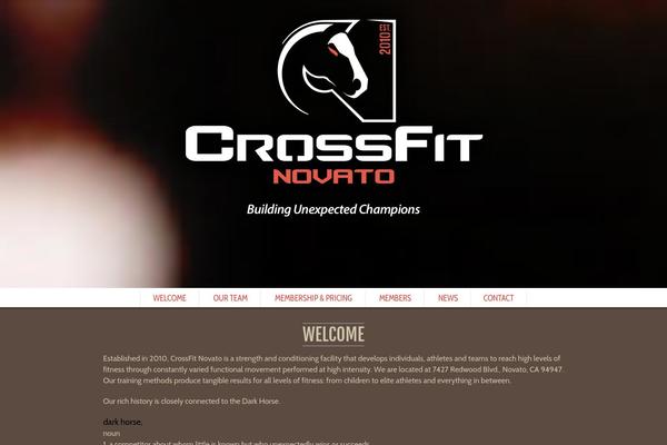 Scrn theme site design template sample