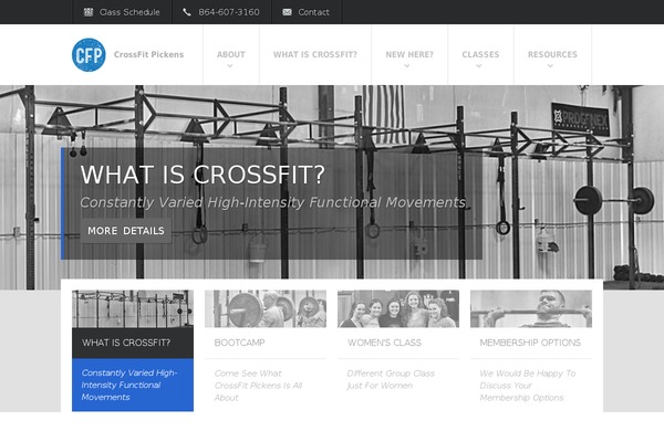Fit Wp theme site design template sample