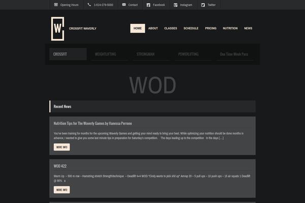 Fit Wp theme site design template sample