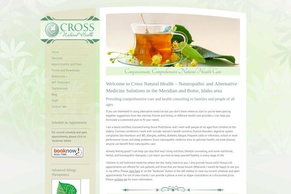 rt-child theme websites examples