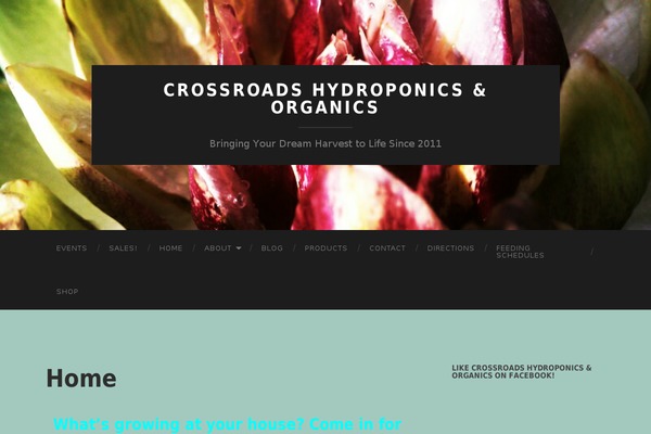 crossroadshydro.com site used Hemingway