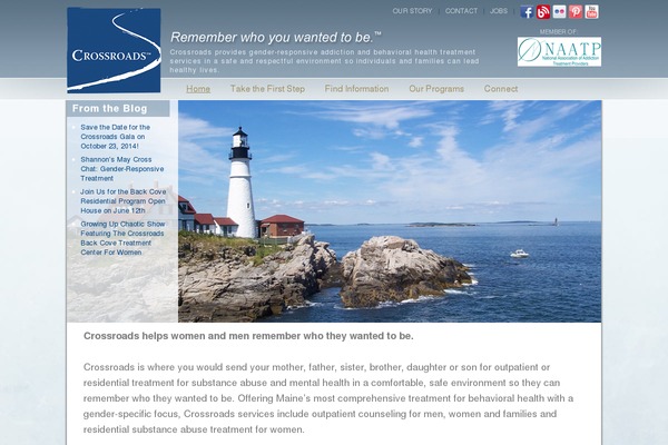 Site using Wp-mega-menu-pro plugin