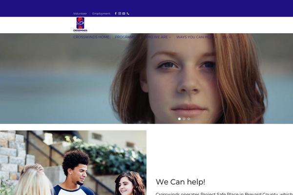 Flatsome Child Theme theme site design template sample