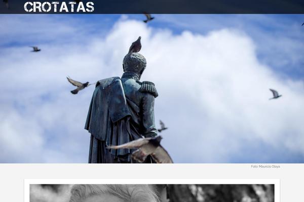Site using Image Rotator Widget plugin