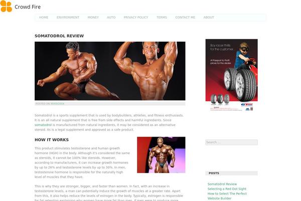 Araiz theme site design template sample