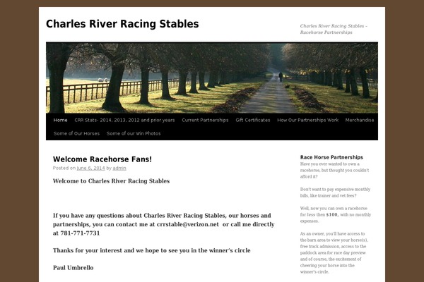 Twenty Ten theme site design template sample