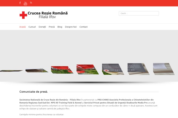 Site using SEO Facebook Comment plugin
