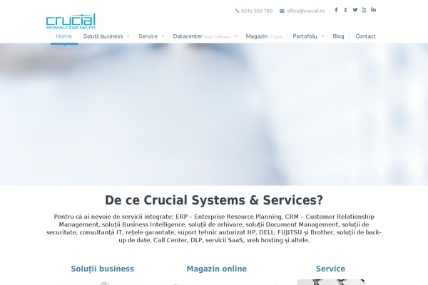 Crucial theme site design template sample