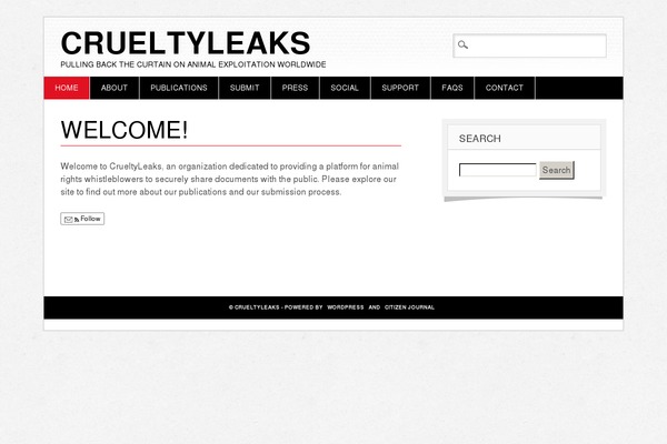 Diginews theme site design template sample