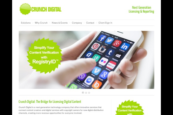 Cleanex theme site design template sample