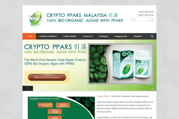 Wpex Pytheas theme site design template sample