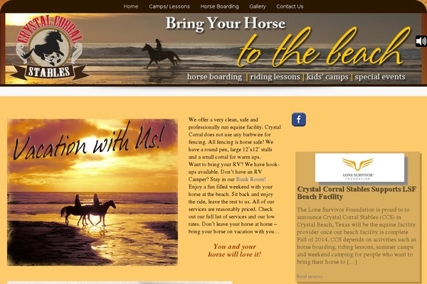 Preference Lite theme site design template sample