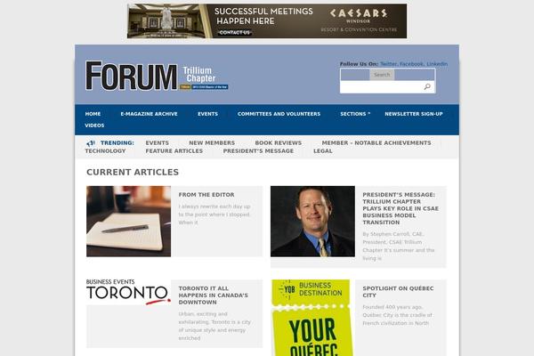 Bookshelf theme site design template sample