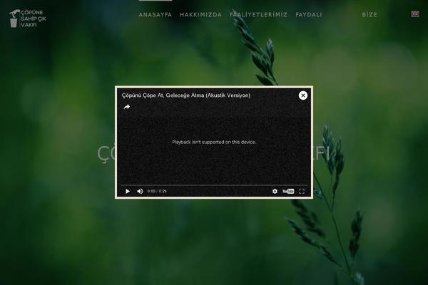 Site using Indeed-share-image plugin