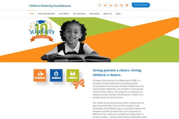 DonateNow theme site design template sample