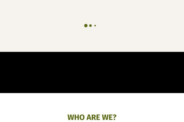 Bizix theme site design template sample