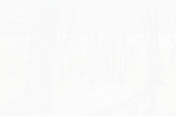 Site using Mwt-addons plugin