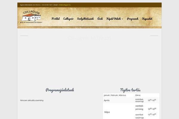 Site using Wild-googlemap plugin
