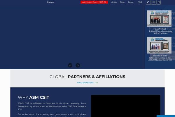 Site using Autoptimize plugin