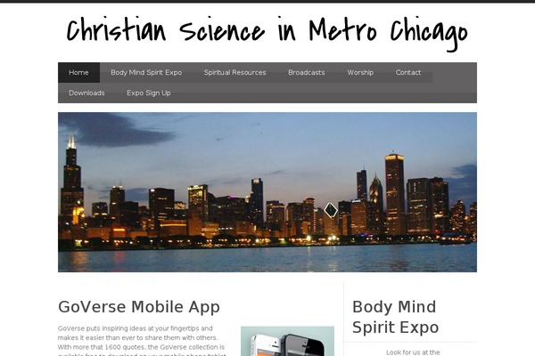 Blue Diamond theme site design template sample