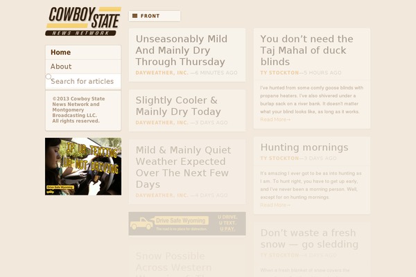 Csn theme site design template sample