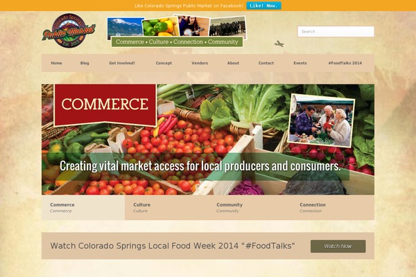 Pitch theme site design template sample