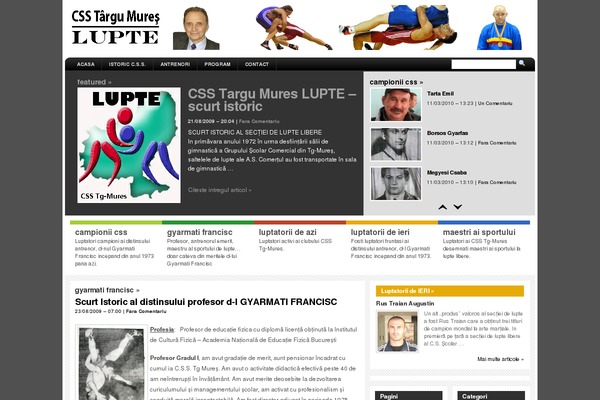 Arthemia theme site design template sample