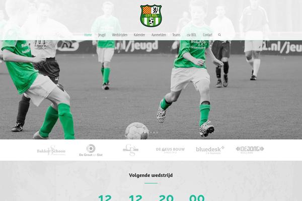 Third Style theme site design template sample