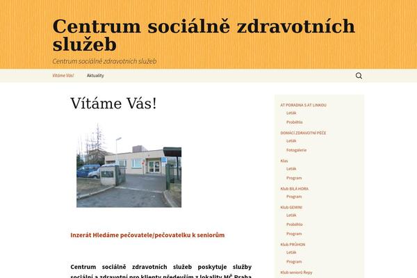 Twenty Thirteen theme site design template sample