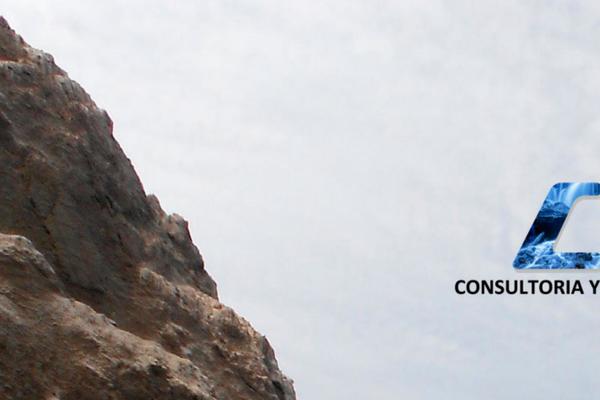 Nonus theme site design template sample