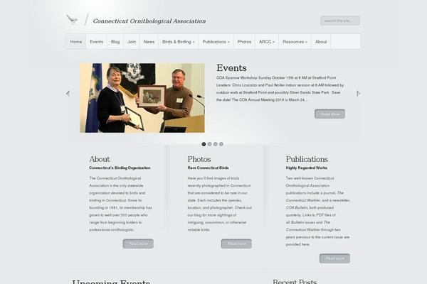 Minimal theme site design template sample
