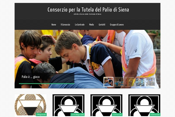 Theron_lite theme site design template sample