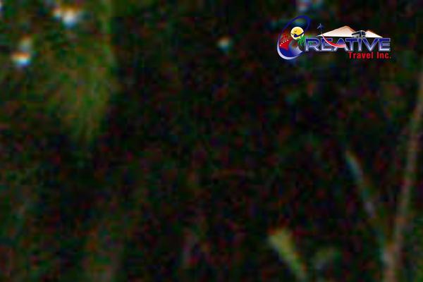Surreal theme site design template sample