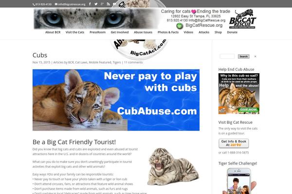 cubabuse.com site used Bosa