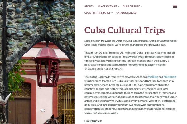 Bushwick theme site design template sample