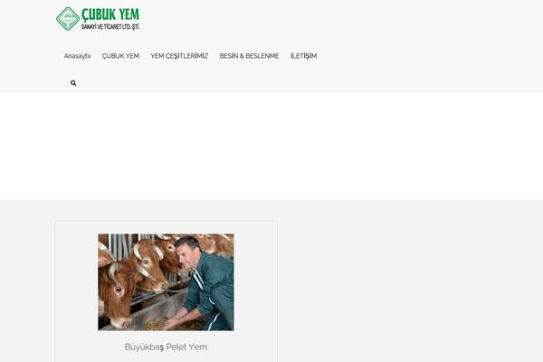 Site using Stm-configurations plugin
