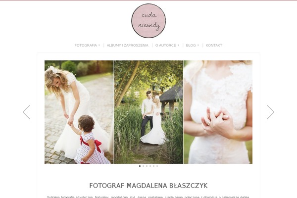 Organic_photographer theme site design template sample