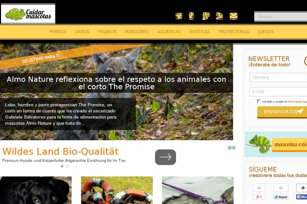 cuidarmascotas.net site used Kicaweb