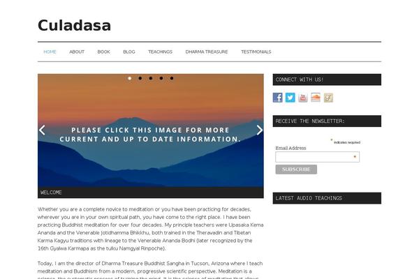 Magazine Pro theme site design template sample