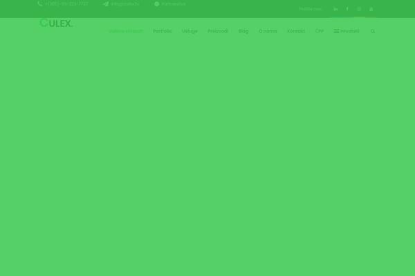 Site using Ct-ultimate-gdpr plugin