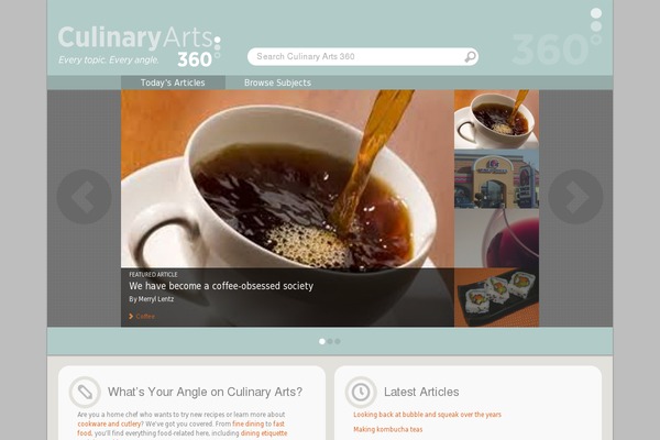 Site using Gabfire Widget Pack plugin