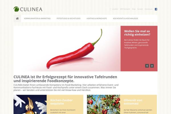 Cacoon theme site design template sample