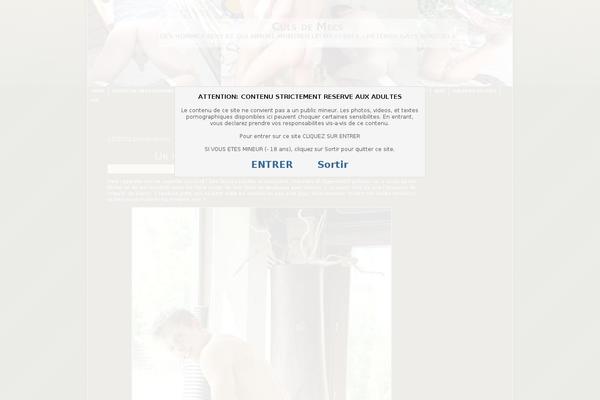 culs-de-mecs.com site used Culsgay
