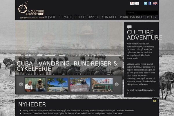 Big Easy theme site design template sample