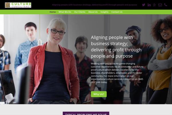 cc2014 theme websites examples