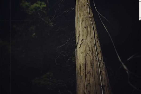 Launch theme site design template sample