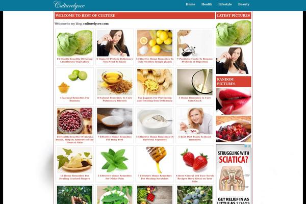 Point theme site design template sample